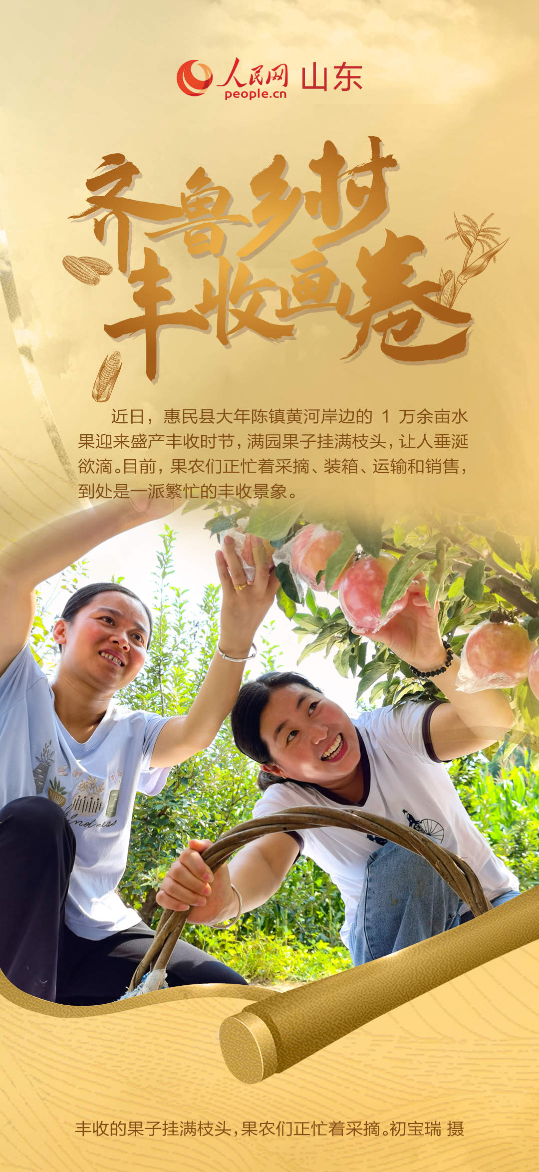 乡村振兴美如画 齐鲁大地好“丰”景