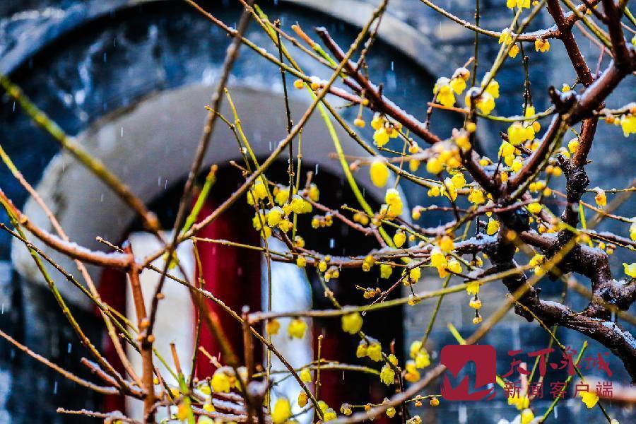 文明济南经得起大雪检阅 因为有人一直在行动