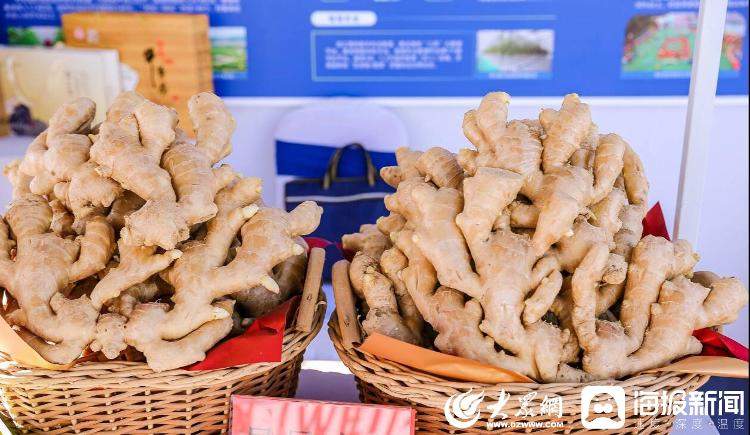 搴嗙鍐滄皯涓版敹鑺?灞变笢16鍦板競鈥滄槑鏄熲€濆啘浜у搧銆佲€滅瀛愮洸鐩掆€濈瓑鎯婅壋浜浉