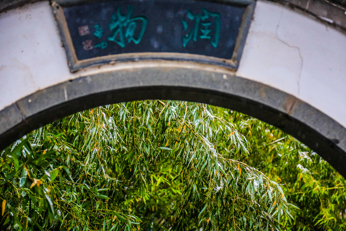 济南的冬天：雪花落在泉水里 全是诗情画意