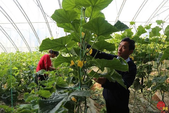 全国劳动模范坐镇的西城高科，8年来为三农创造了哪些惊喜？