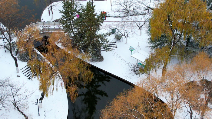 降雪如约而至 雪落大地景色如画