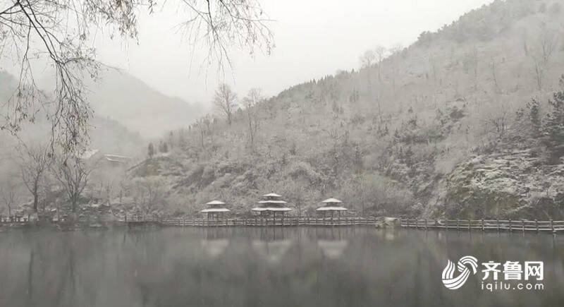 组图｜官宣！山东迎来今冬第一场雪