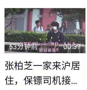 【娱报】张柏芝俩儿子来上海读书了!放学后贴身保镖护送回家