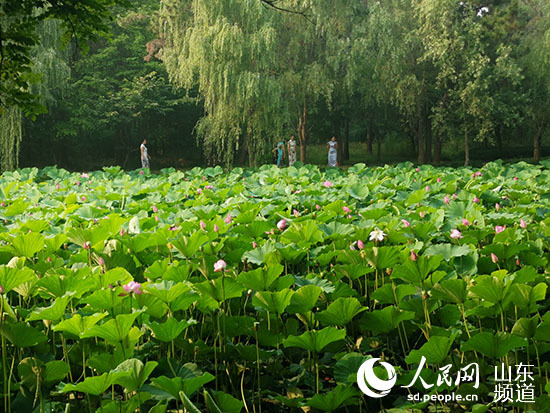 【我爱这片蓝色的国土】山东日照：中央活力区——激情澎湃的城市名片