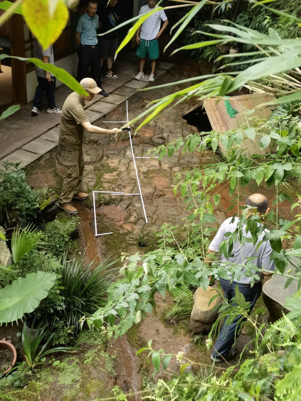 四川乐山一餐厅发现恐龙足迹化石 距乐山大佛5公里