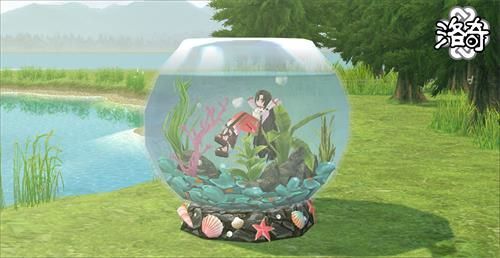 《洛奇》小凳子也有大学问！