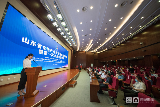 山东省文化产业发展协会成立 王修滋当选首任会长