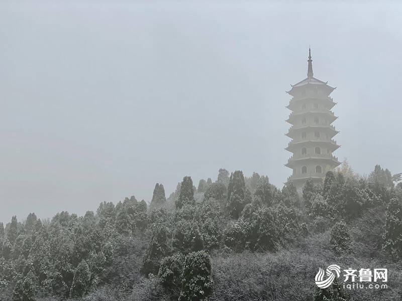 组图｜官宣！山东迎来今冬第一场雪