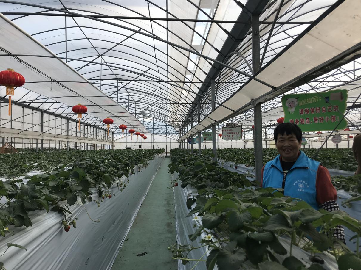 【乡村振兴在行动】世业洲：全民健康与全面小康生动结合的典型样板