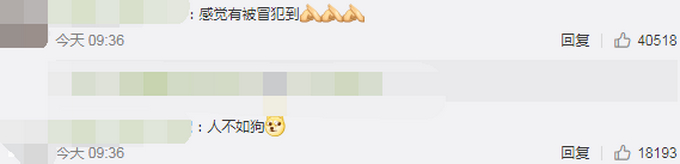 科目二过了吗？外国一小狗8个星期学会开车