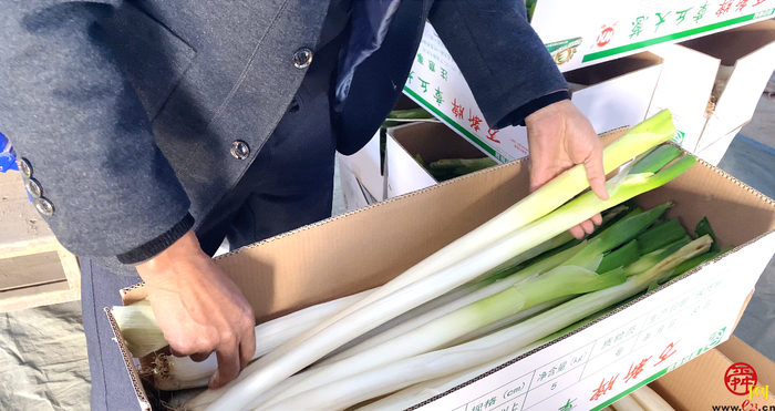 担子挑了19载 实力认证“名招牌” 章丘大葱2600余年还是那个味儿…