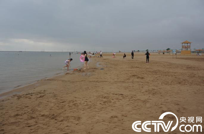 【瓣瓣同心·协同五年谱新篇】沧州打造良好生态 焕彩“千年狮城”