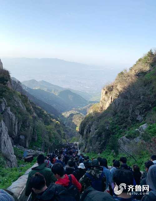 一部手机畅游泰山！五一假期首日泰山34583人进山进景点