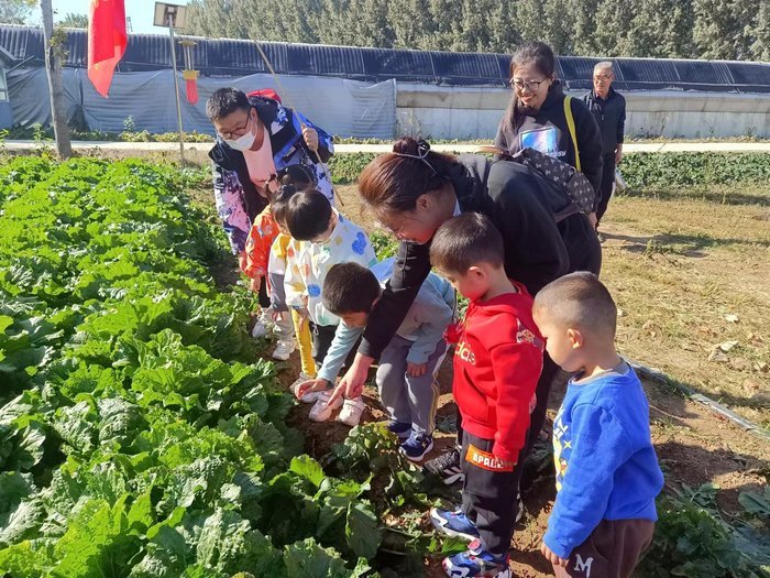 济南市莱芜实验幼儿园太阳班秋游活动