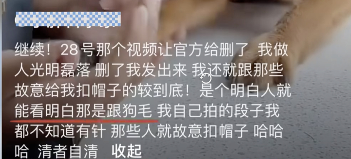 网红“委屈小狗”主人回应用针虐狗：衣服褶皱是因为太大，不是藏了针