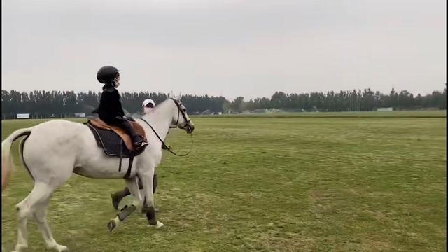 港媒曝章子怡北京2亿豪宅内景|【贫穷限制了想象】港媒曝章子怡北京2亿豪宅内景曝光 壕到难以想象