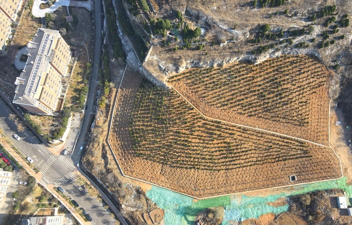 济南破损山体治理初显成效