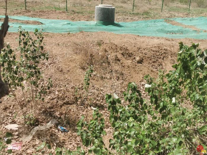 【啄木鸟行动】商河县玉皇路史家庄村附近渣土裸露