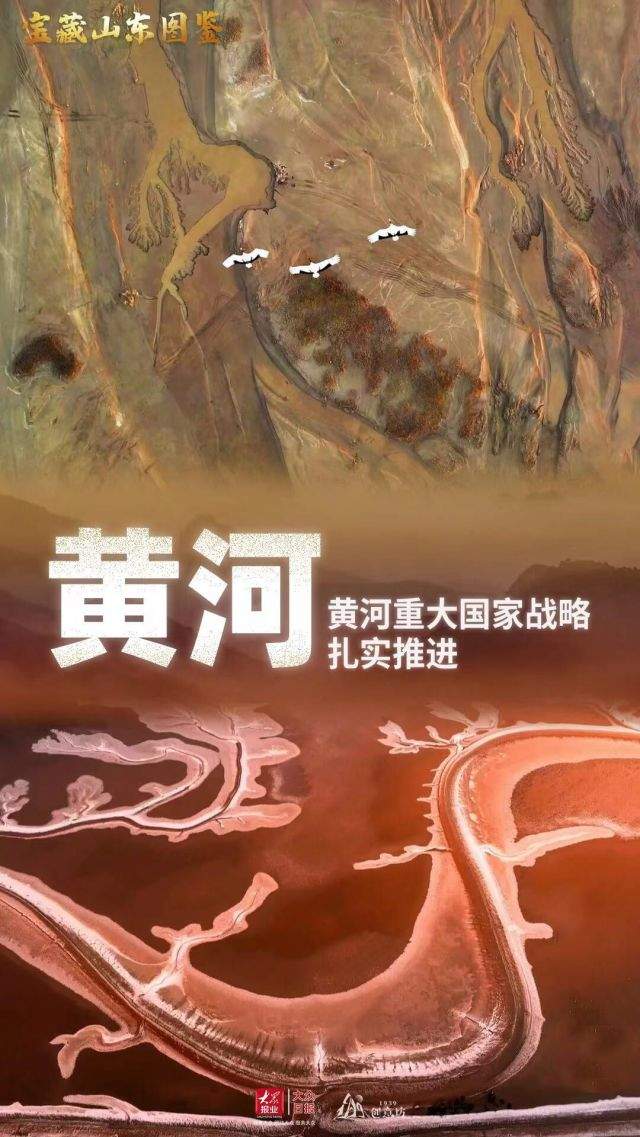 未来可期，看山东多维度的定性定量分析