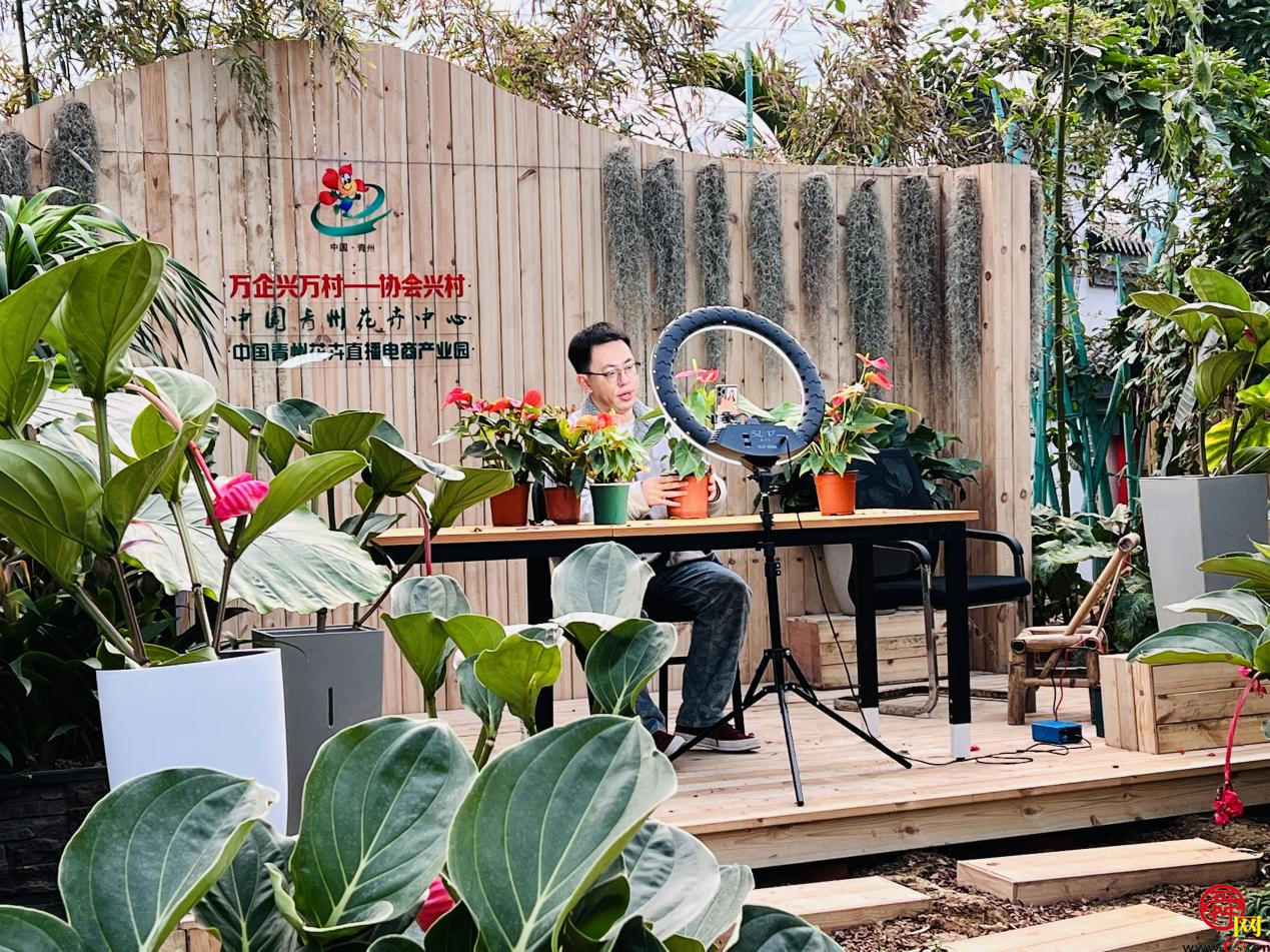 全省城市信用体系建设青州现场交流会召开