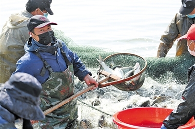 武汉人喜欢吃活鱼，活鱼来了