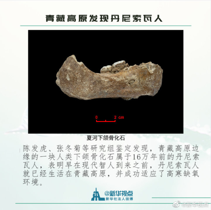 2019年度中国科学十大进展揭晓