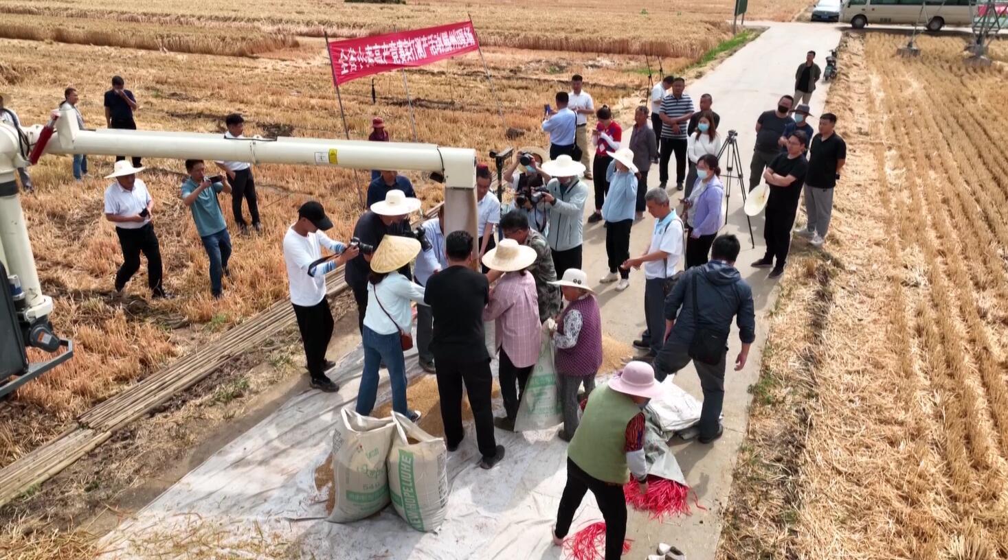 藏粮于地藏粮于技，筑牢山东粮仓