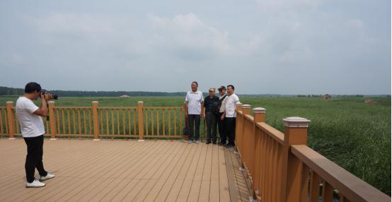 【瓣瓣同心·协同五年谱新篇】白洋淀“荷塘苇海”美景重现，雄安新区“千年林、万顷波”值得期待