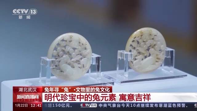 兔年寻“兔” 探访博物馆里的兔宝贝