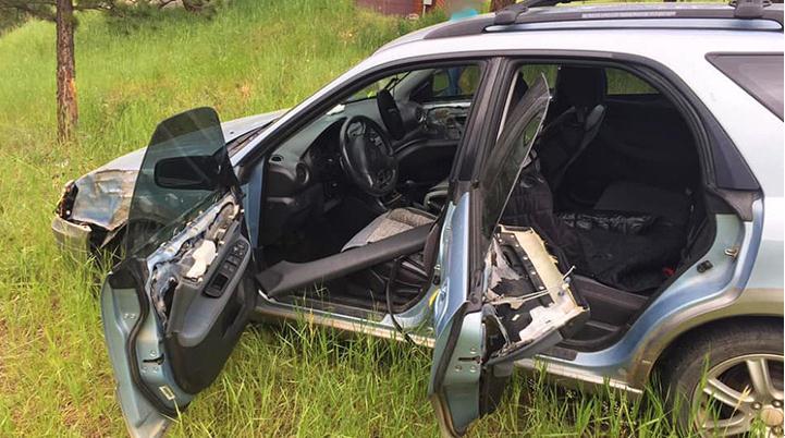 熊“偷车”，“开”下山坡撞树后逃逸…