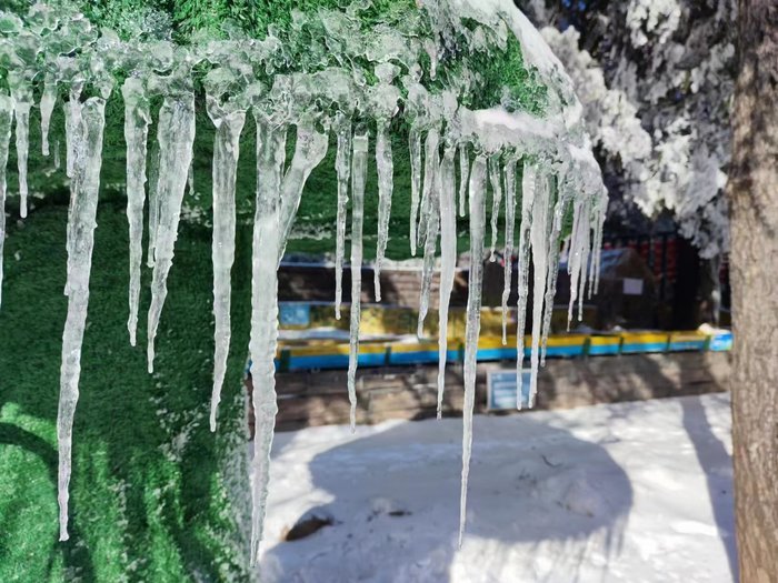 雾凇、雨凇、雪凇同现 跑马岭工作人员感叹“头回见”