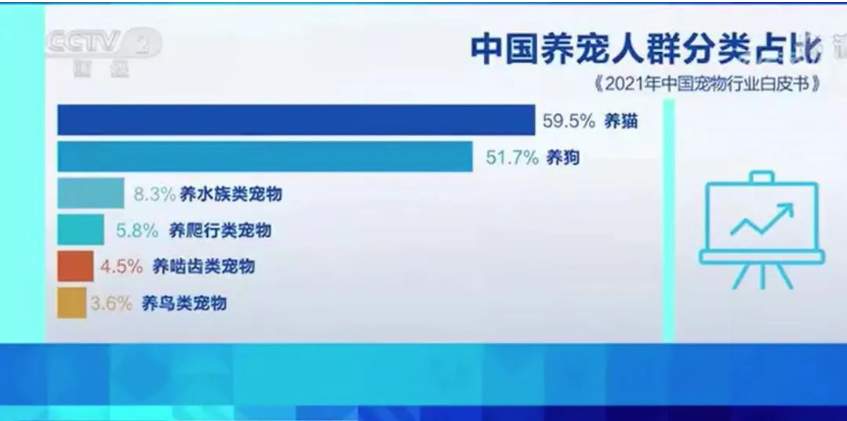 女子饭店内让宠物狗用公共餐具吃饭，被说“缺德”冤不冤？
