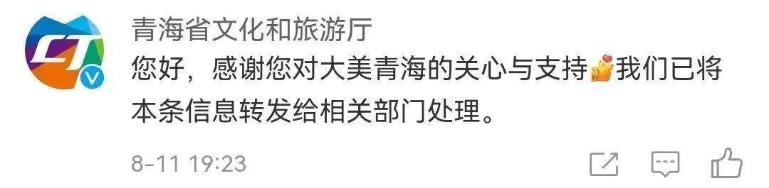 博主采到“雪莲花”还拍视频炫耀？当地回应