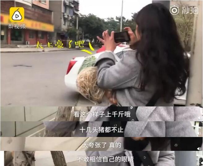 大户人家！东北一家人包近万个饺子摆院子里速冻