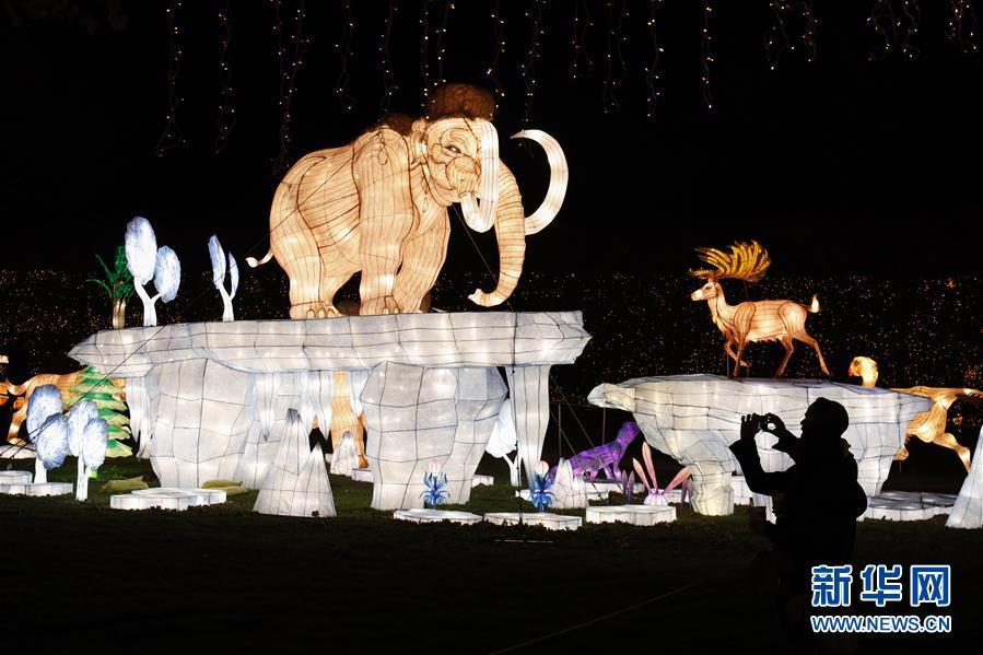 第二届纽约花灯游园会开幕