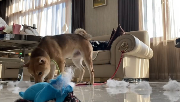 王珞丹问瓢哥能退货吗怎么回事?什么情况?终于真相了,原来是这样！