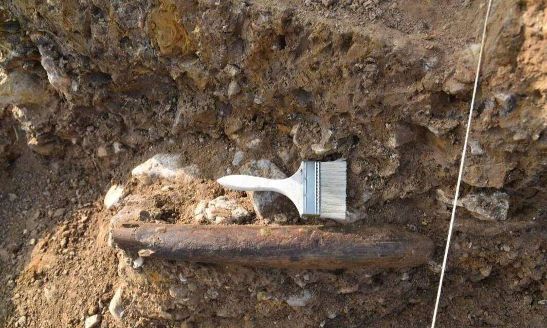 开启鲁版考古“盲盒” 山东4项目入围2022全国十大考古新发现