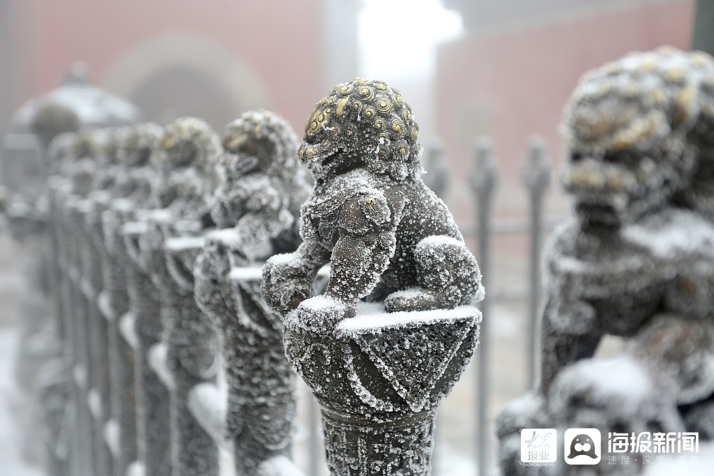 山东泰安：雪后泰山现雾凇宛如仙境美不胜收