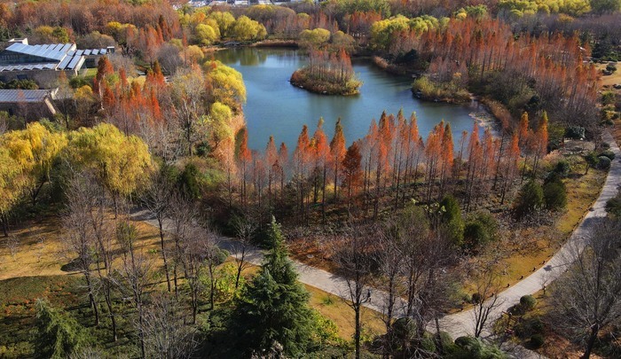 邂逅济南别样的色彩