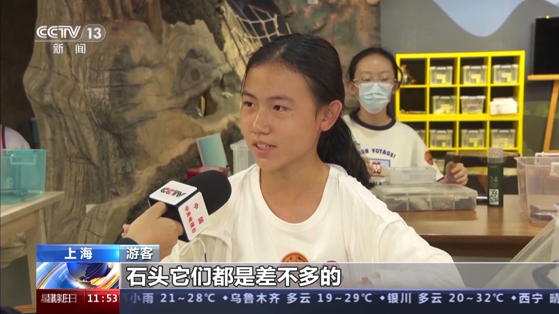 在互动中探索自然 这家热门博物馆有哪些特别的馆藏？