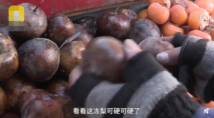 东北卖鱼得用锯！锯的过程中，一条鱼会掉1斤左右，鱼贩：心疼