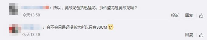 科学家发现恐龙新物种 网友:那么小,能当宠物养吗？