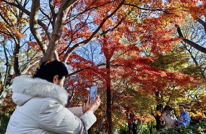 济南的冬天美翻了 泉城公园披上“花式冬装”