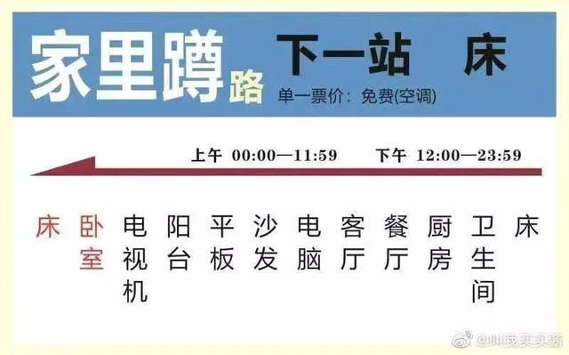 春节不能出门把全国网友憋成啥样？给猫讲函数，为橘子接生
