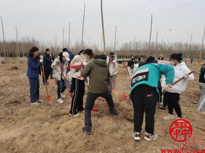 植此青绿  播种梦想