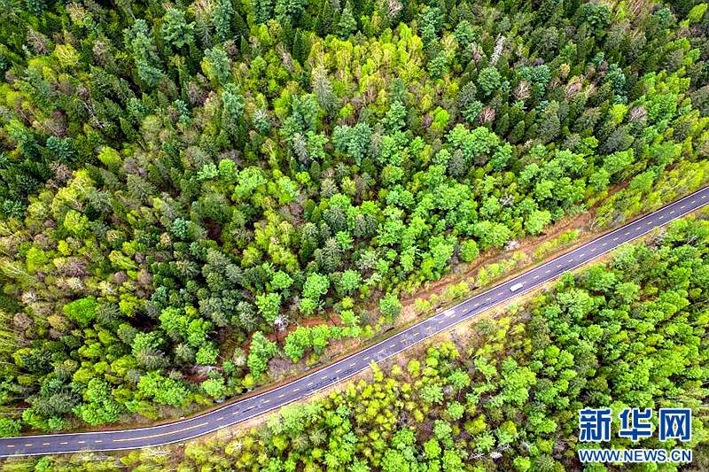 神州答卷丨松花江畔风正劲——黑龙江奋力开创高质量发展新局面