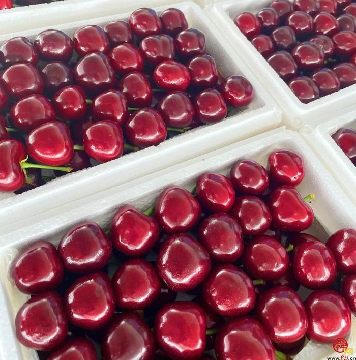 露营＋烧烤＋采摘随意搭配，“玩荒”被泉水人家治好了