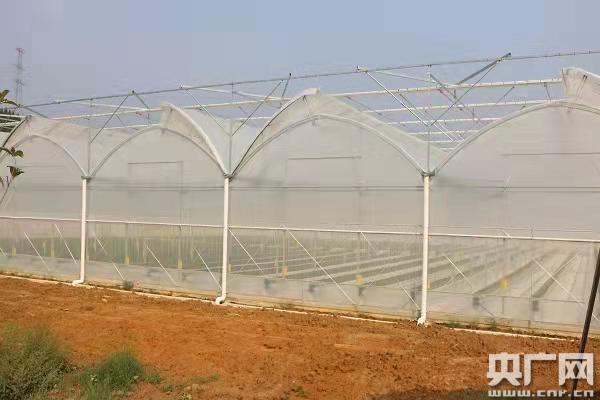 【粤来粤好】挖掘新时代广东鲜活案例 触摸高质量发展“脉搏”