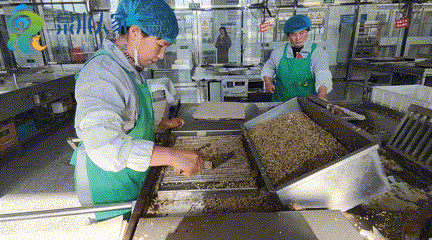 泉水人家有一“煎饼侠”，百十岁了依然嘎嘣脆，听说还有了新绝活…